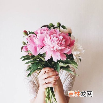 桃花来了，你是否能牢牢地把握？