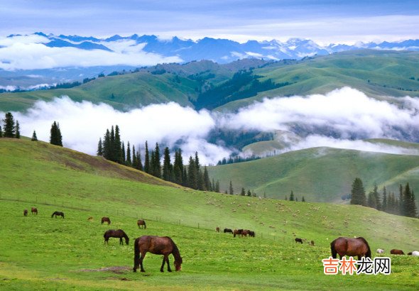 上升星座怎么算，利用出生月份参数