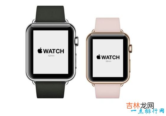 2017年度最佳智能手表 iWatch独领风骚