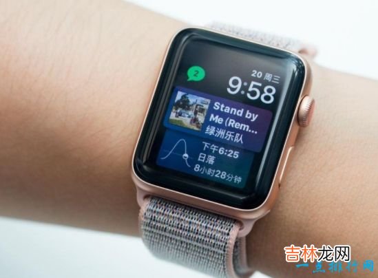 2017年度最佳智能手表 iWatch独领风骚