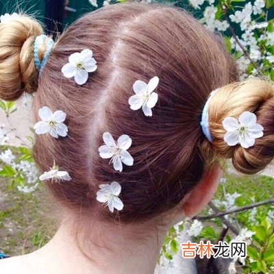 测你是否人未老，但心已老了呢？