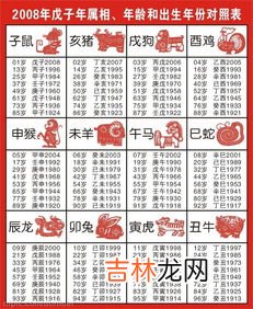 1990年属什么生肖配对 1990年出生属马的 女孩和哪