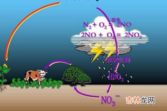 硝态氮与氨态氮的区别