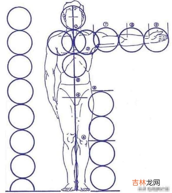身材比例穿衣指南 女生身材黄金比例怎么计算