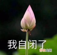 我自闭了是什么梗