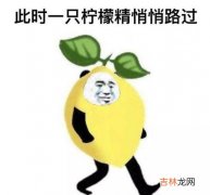 人类的本质柠檬精是什么梗