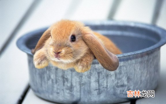 1999年5月出生的人是什么命?