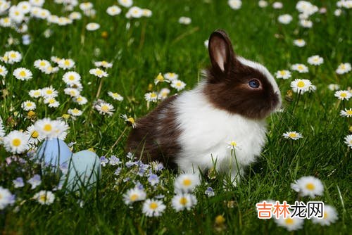 1999年5月出生的人是什么命?