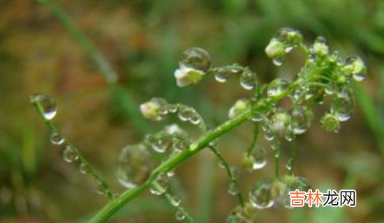 梅雨天什么时间