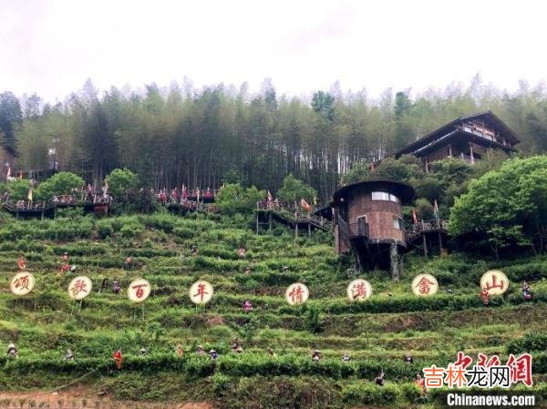 景宁畲族之窗 景宁畲山论坛招聘信息