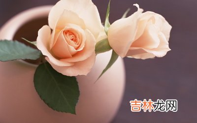 2012年闰四月出生属龙的人一生运势如何？