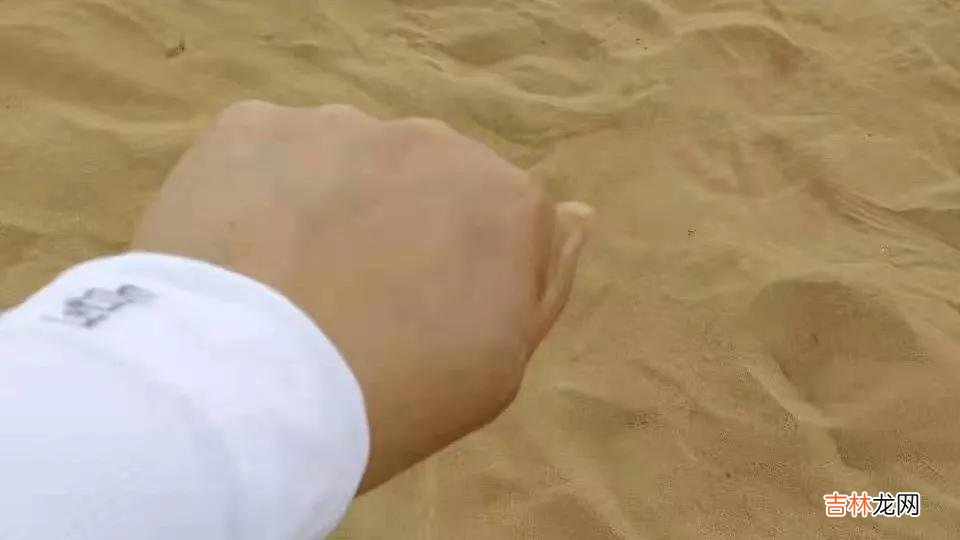 中国式离婚24集免费 中国式离婚26集电视连续剧