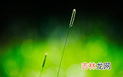 1996年6月出生的属鼠人会是什么命,十二生肖婚配分析!