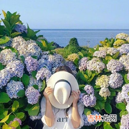 测看春节期间你会遇上什么好事?
