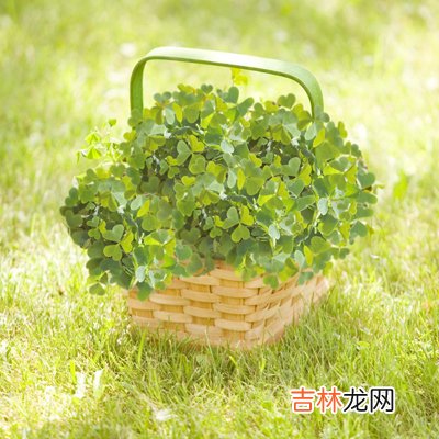 2018你的幸运会在何时到来?