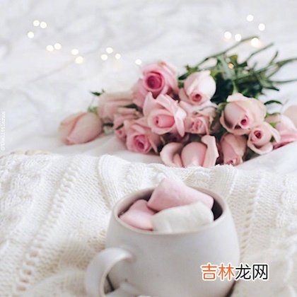 猪年来了!测测你能否诸事顺利