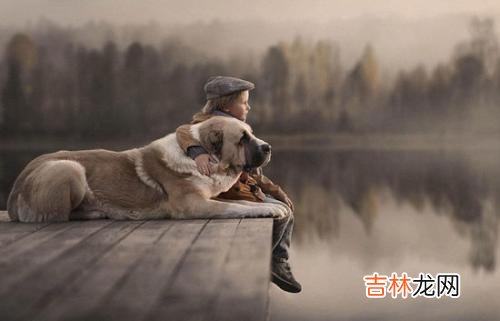 2019年农历十二月初六出生的女宝宝如何起名?