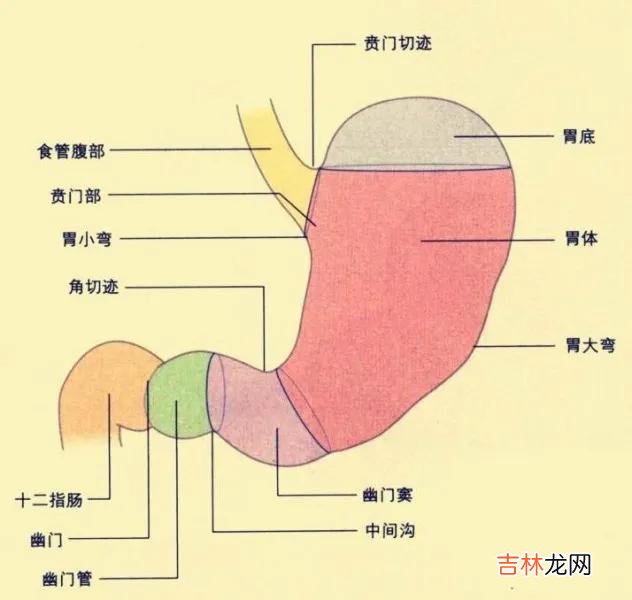 贲门炎症状吃什么药效果最好 贲门炎吃什么药