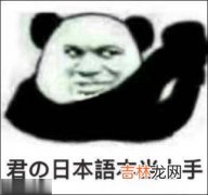 君日本语本当上手是什么梗