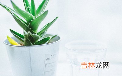 2019年7月出生的人命运怎么样，五行缺不缺水？