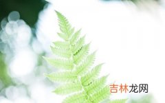 2019年7月出生的人命运怎么样，五行缺不缺水？