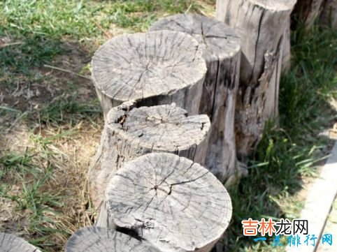 中国古代十大酷刑 这些刑法真的是残忍