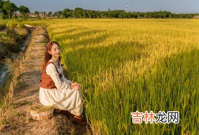 2019年农历腊月廿九日出生的女宝宝如何起名?