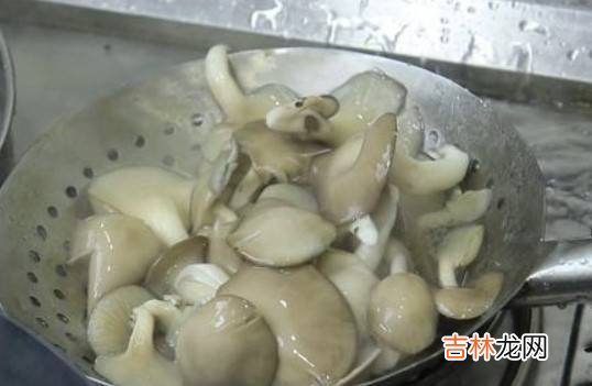 平菇怎么做好吃
