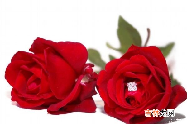 送彩礼男方去几个人 送彩礼的规矩