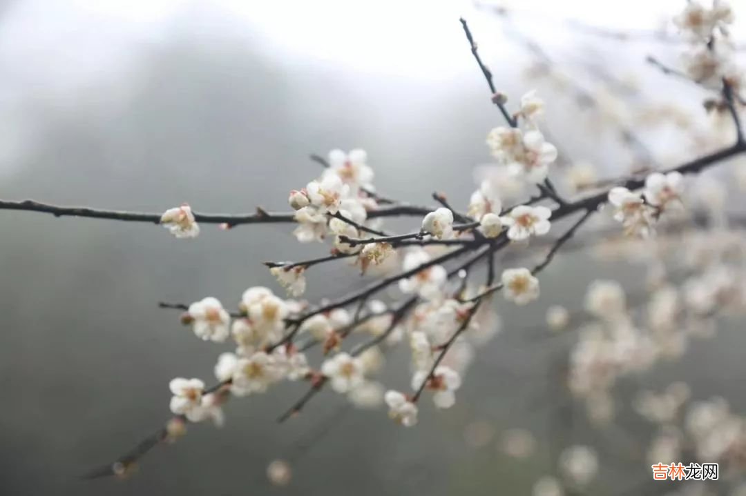 生态旅游景点别墅 生态旅游景点名录