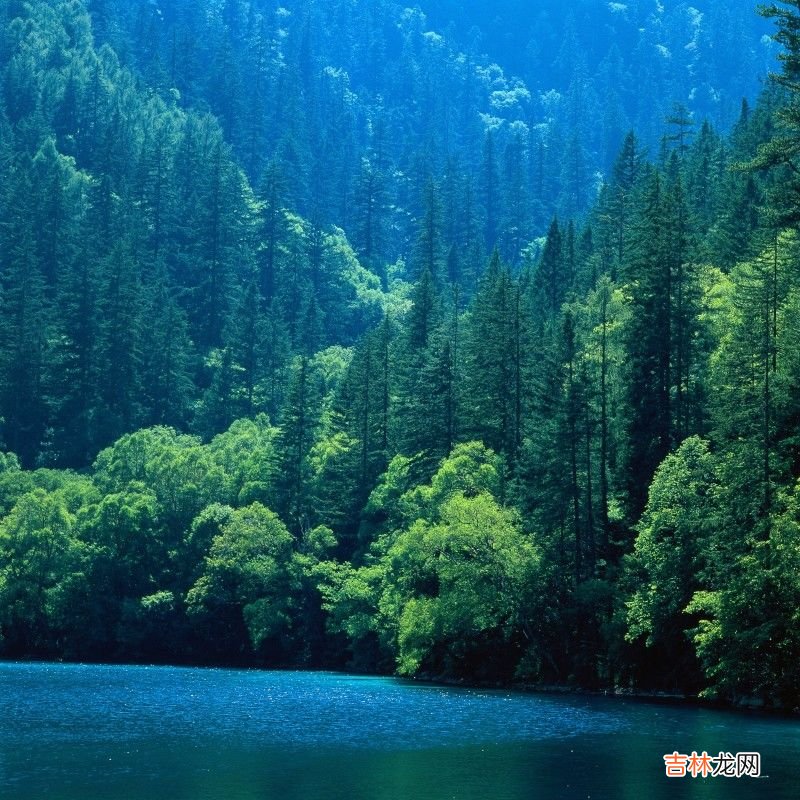 生态旅游景点别墅 生态旅游景点名录