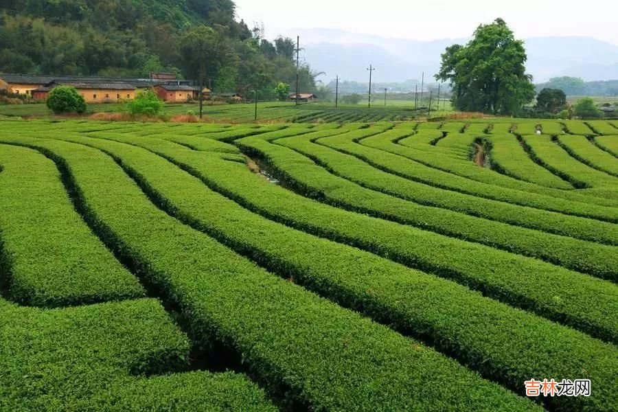 生态旅游景点别墅 生态旅游景点名录
