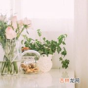 近期你会经历小确丧or小确幸？