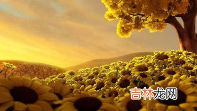 2012年9月出生的属龙人会是什么命，属龙人性格如何？