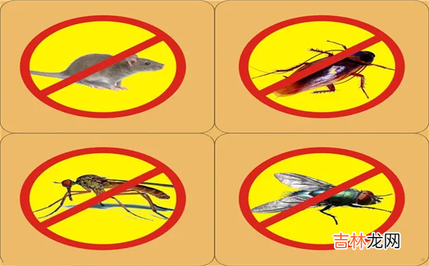 四害是什么虫子 四害是什么意思啊