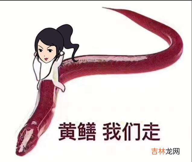 麻椒直播是什么梗