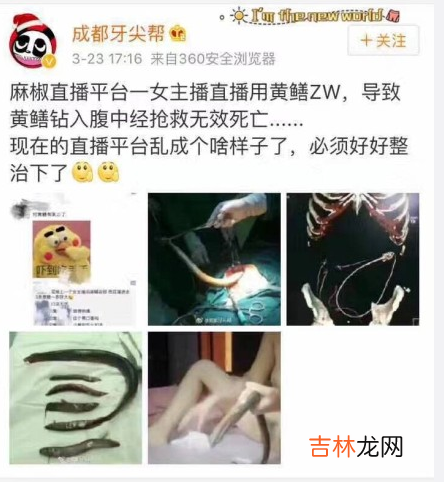 麻椒直播是什么梗