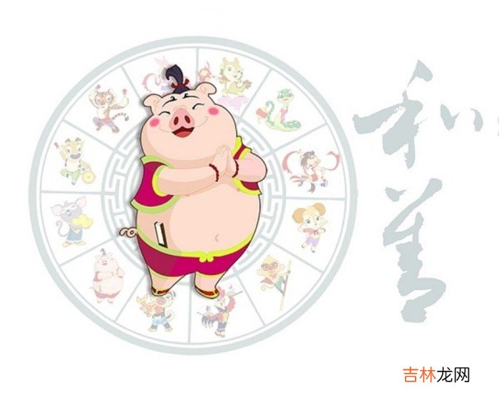 2007年10月出生的人属什么？2019年属猪人的运势如何？