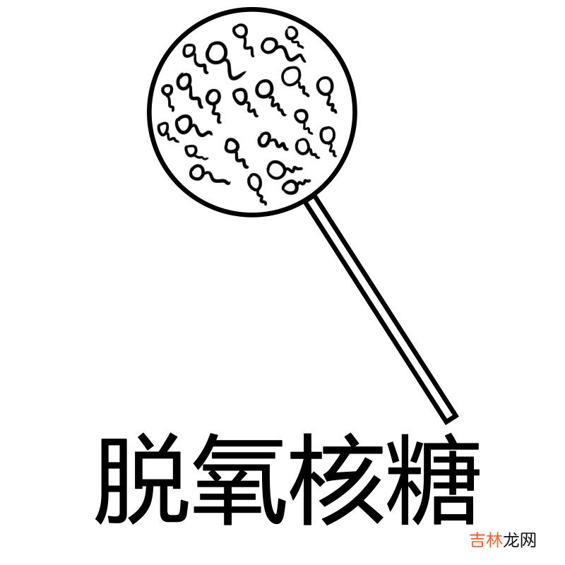 脱氧核糖是什么梗