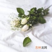 被情敌横刀夺爱后，你会怎么做？