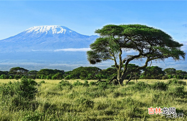 世界十大最令人惊叹的火山 日本富士山排名第一