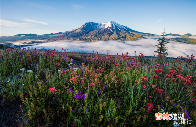 世界十大最令人惊叹的火山 日本富士山排名第一