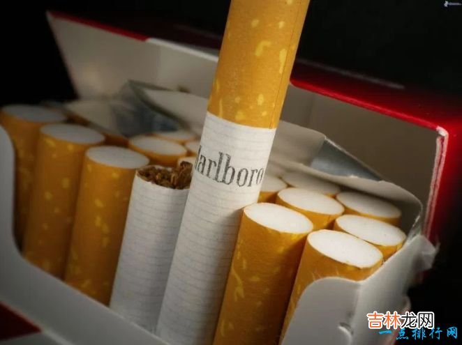 世界十大最贵香烟排行榜 专为上层人士准备的香烟！