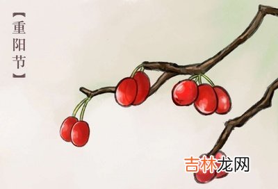 不同年份重阳节出生的生肖兔命运如何,2019年重阳节是不是好日子?