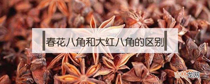 春花八角和大红八角的区别