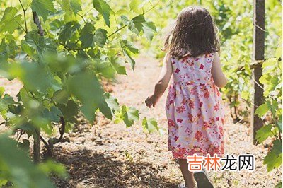 2020年闰四月初八日出生女孩怎么起名?