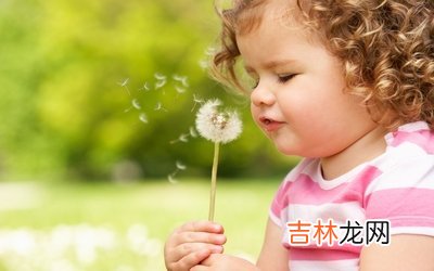 2019年农历十一月初三日出生的女宝宝是什么命,会不会旺夫?