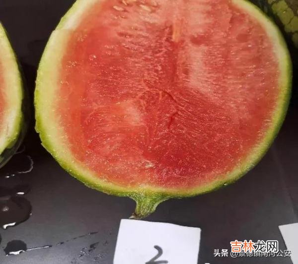 怎么分辨打针西瓜图片 打针的西瓜图片