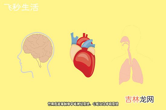 提神醒脑的方法