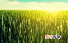 2019年农历十月不能搬家乔迁吗，搬家如何择日？